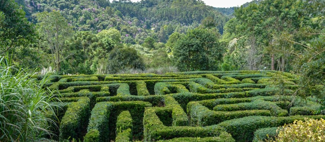 amantikir-campos-do-jordao-02