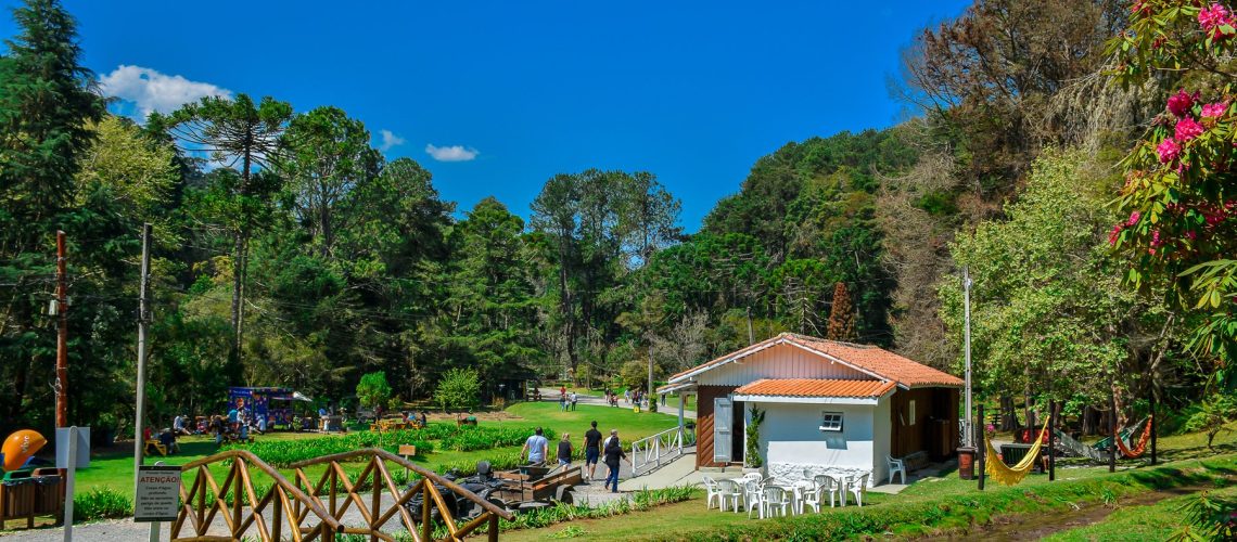 horto-florestal horto-florestal